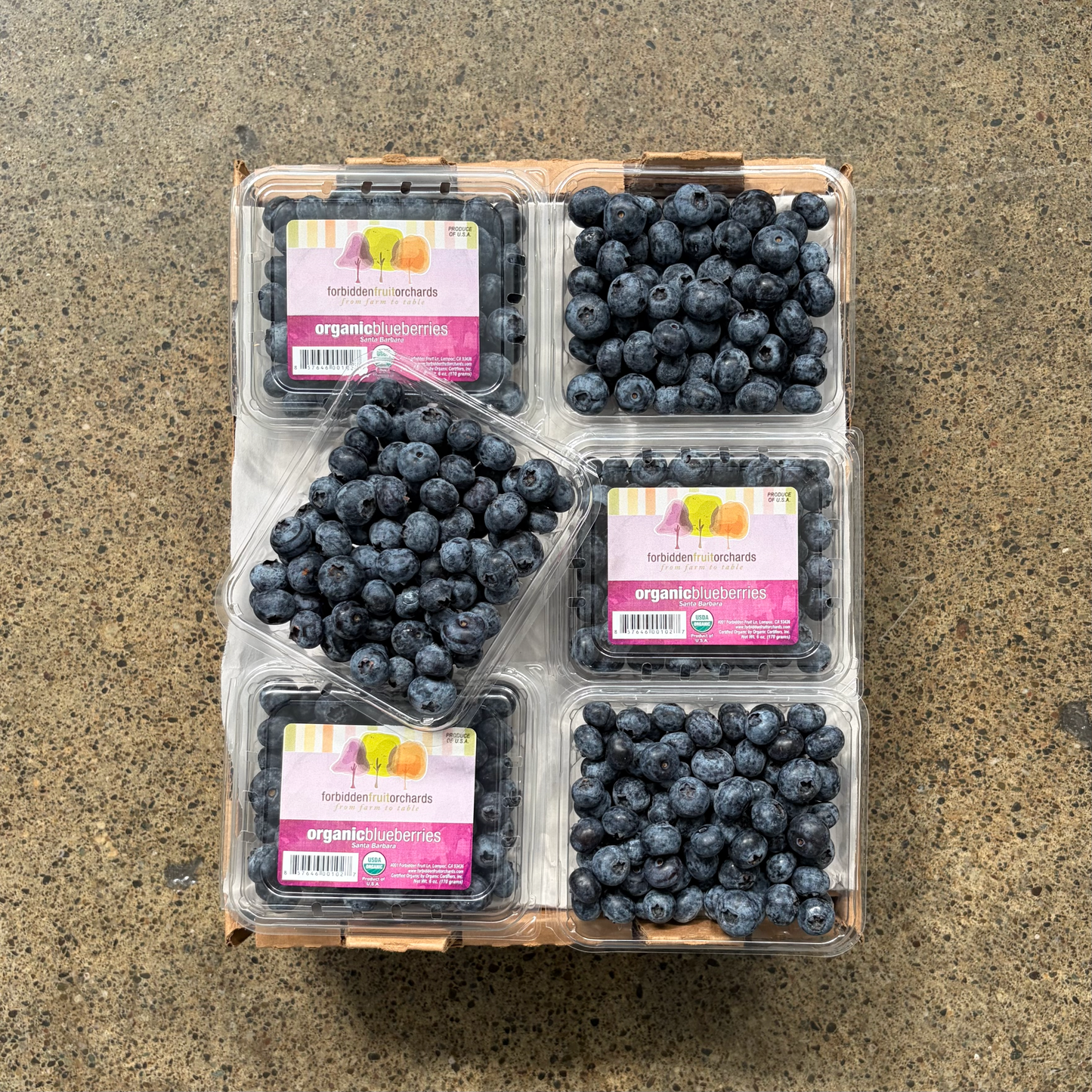 Organic Emerald Blueberries
