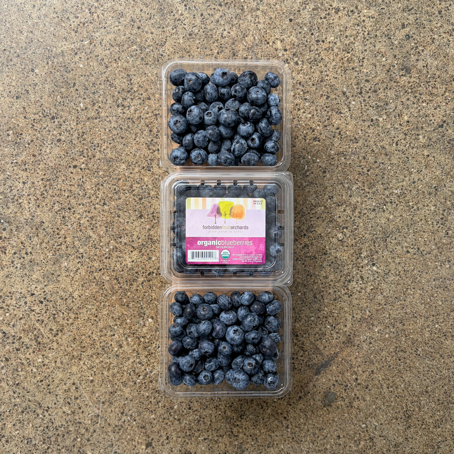 Organic Emerald Blueberries
