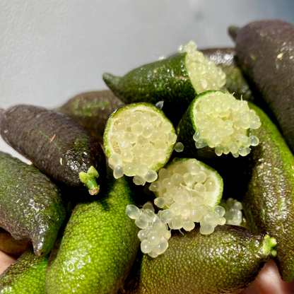 Organic Caviar (Finger) Limes