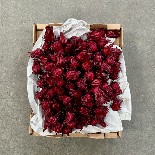 Organic Fresh Hibiscus Roselle