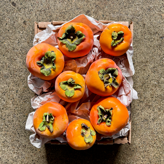 Half Flat of Organic Giant Fuyu Persimmons