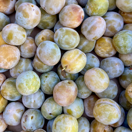 Box of Greengage Plums