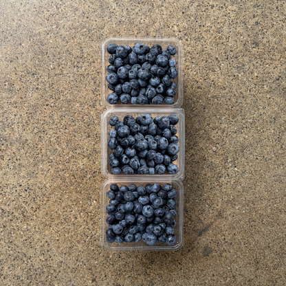 Organic Heirloom Blueberries