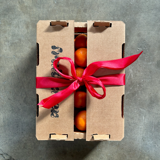 Satsuma Mandarin Gift Box