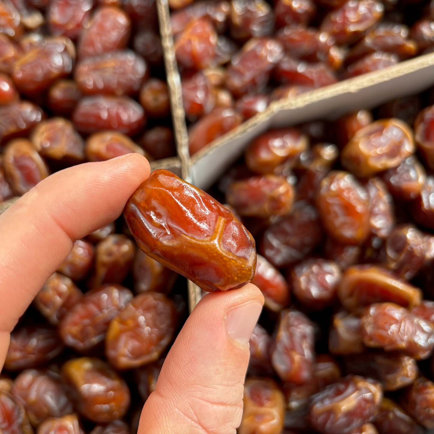 Organic Fresh Harvest Dates