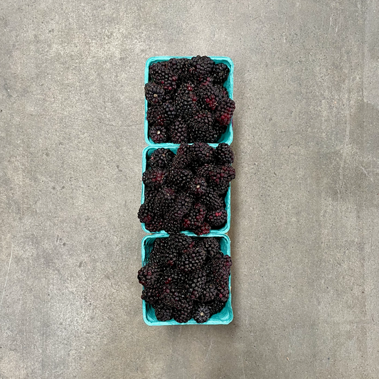 Organic Olallieberries