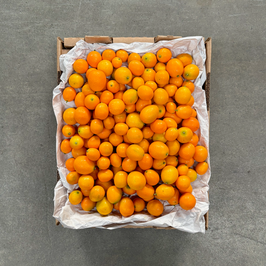 Organic Meiwa Kumquat Box