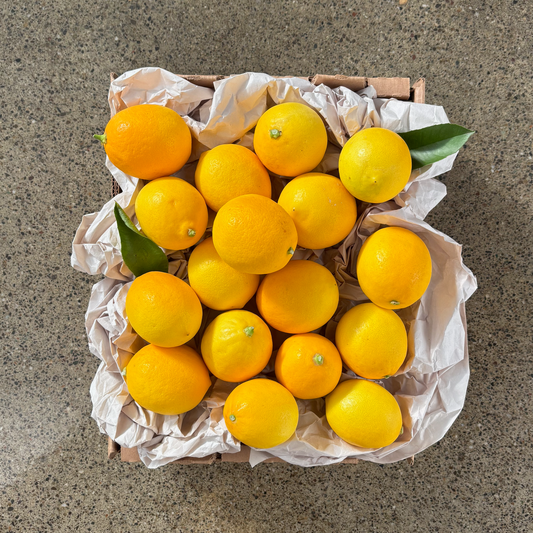Organic Meyer Lemons
