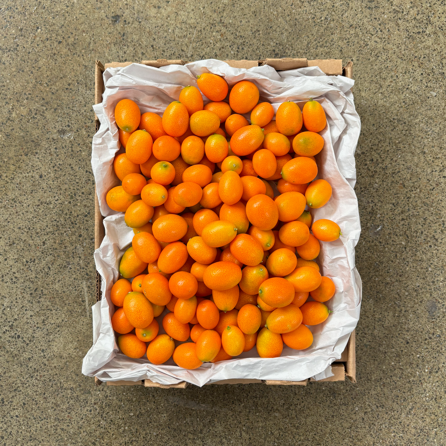 Organic Nagami Kumquat Box