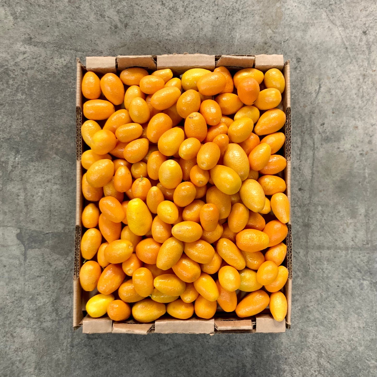 Organic Nagami Kumquat Box