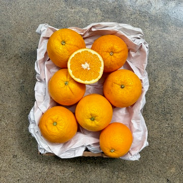 Organic Washington Navel Oranges