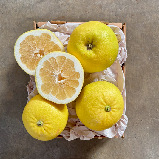 Organic Oro Blanco Grapefruit Box