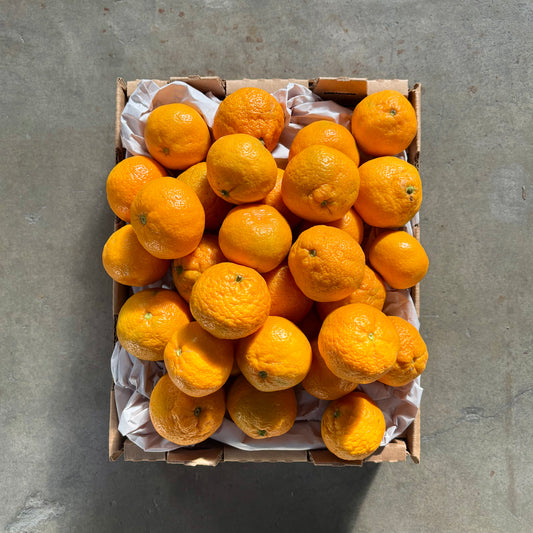 Organic Owari Satsuma Mandarin Box