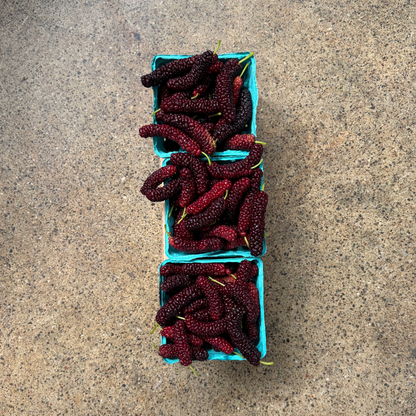 Organic Pakistan Mulberries