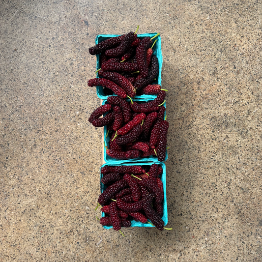 Organic Pakistan Mulberries