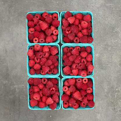 Organic Nova Raspberries