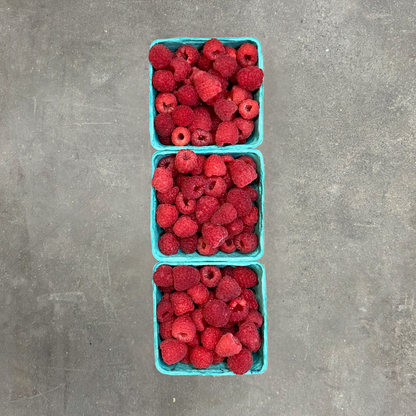Organic Nova Raspberries