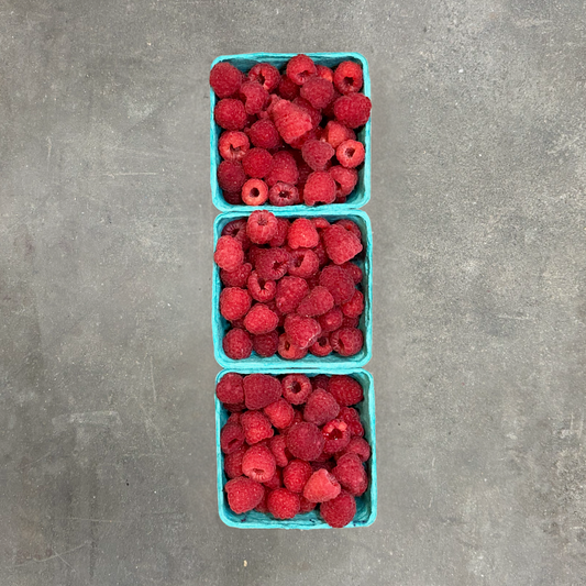 Organic Nova Raspberries