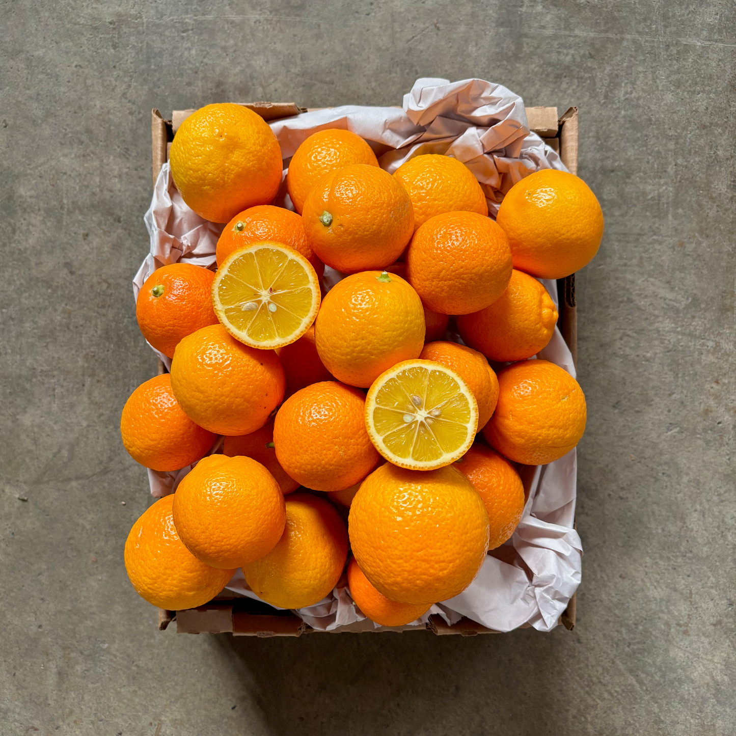 Organic Seville Marmalade Orange Box