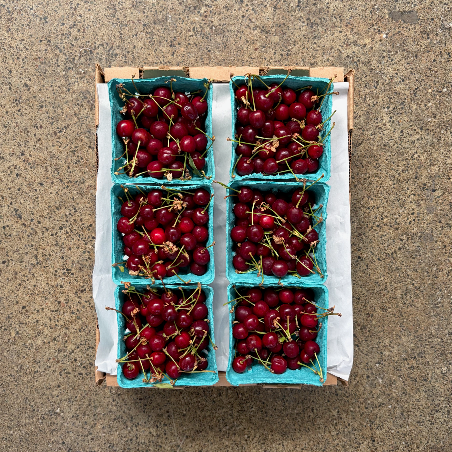 Organic Sour Cherries