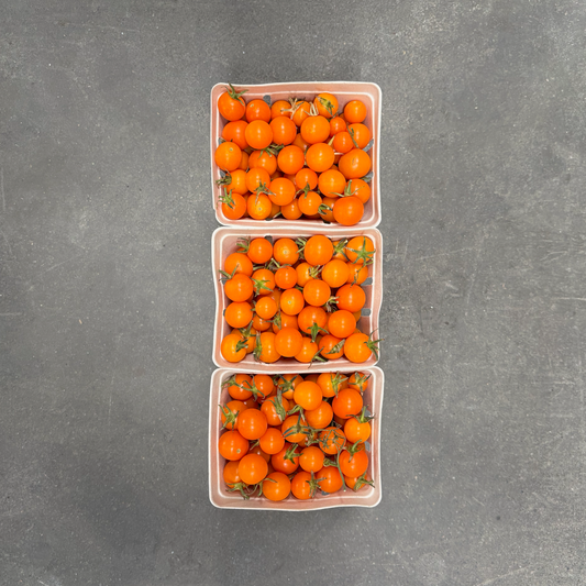 Trio of Organic Sungold Cherry Tomatoes