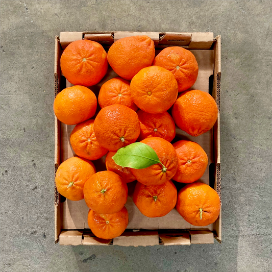 Organic Tahoe Gold Mandarin Box