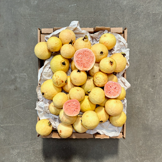 Organic Tropica Guava