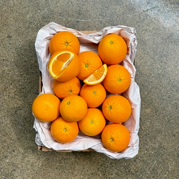 Organic Valencia Oranges