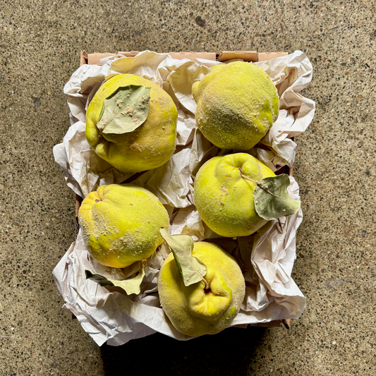 Organic Van Deman Quince