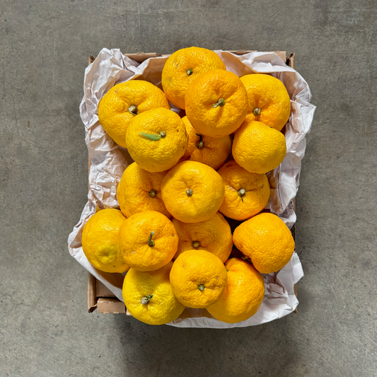 Organic Yuzu Lemons