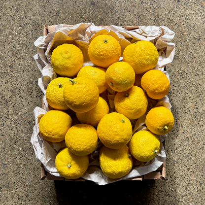 Organic Yuzu