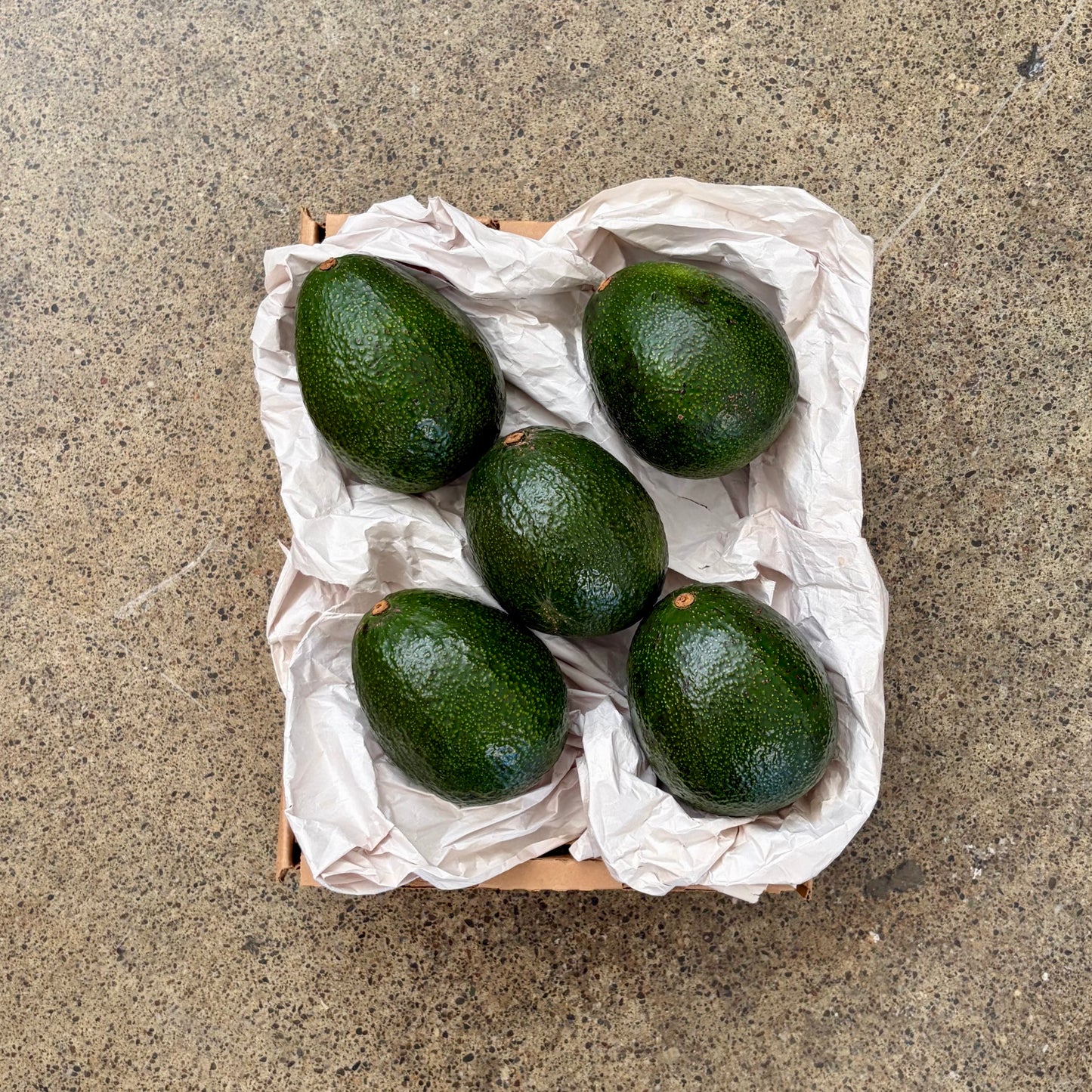 Organic Reed Avocado Box