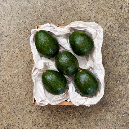 Organic Reed Avocado Box