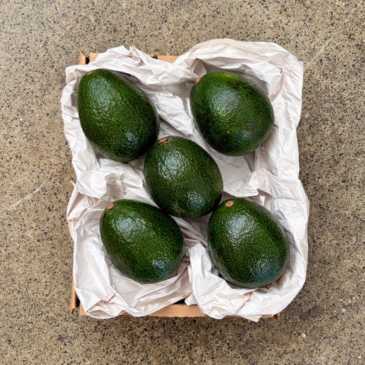 Organic Reed Avocado Box