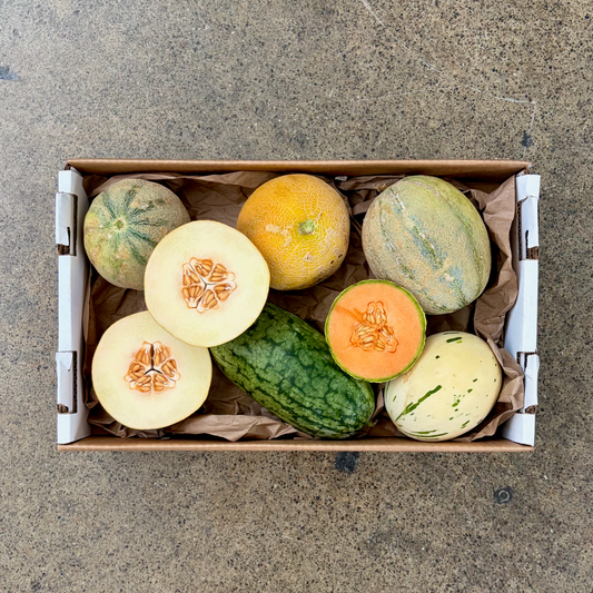 Organic Toybox Melon Case