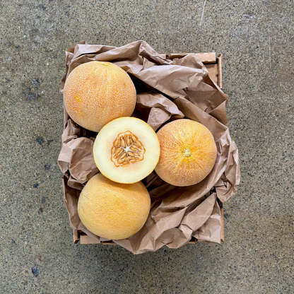 Box of Organic San Juan Ananas Melon