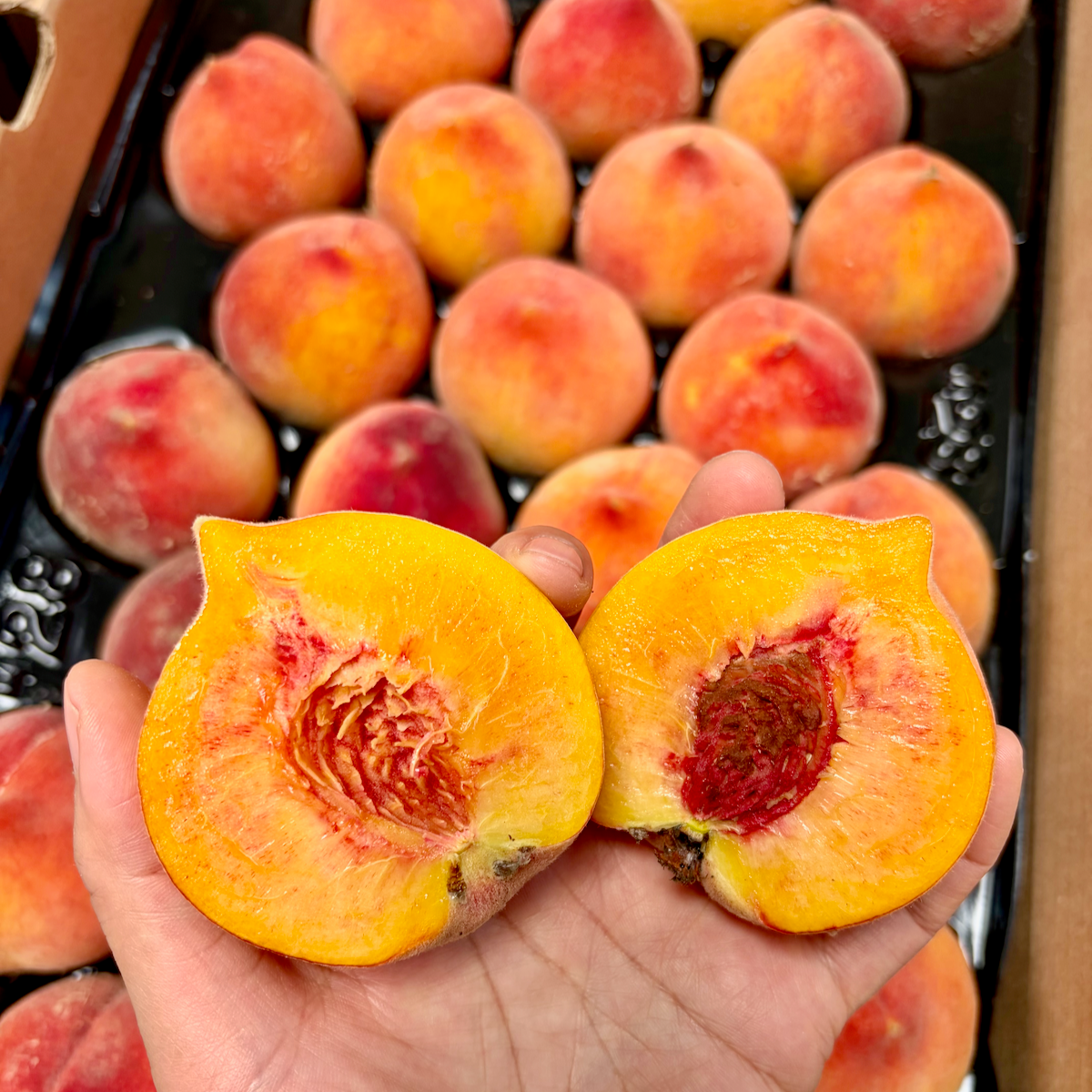 Masumoto Organic Yellow Peaches