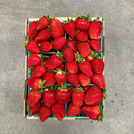 Half Flat of Organic Albion Strawberries