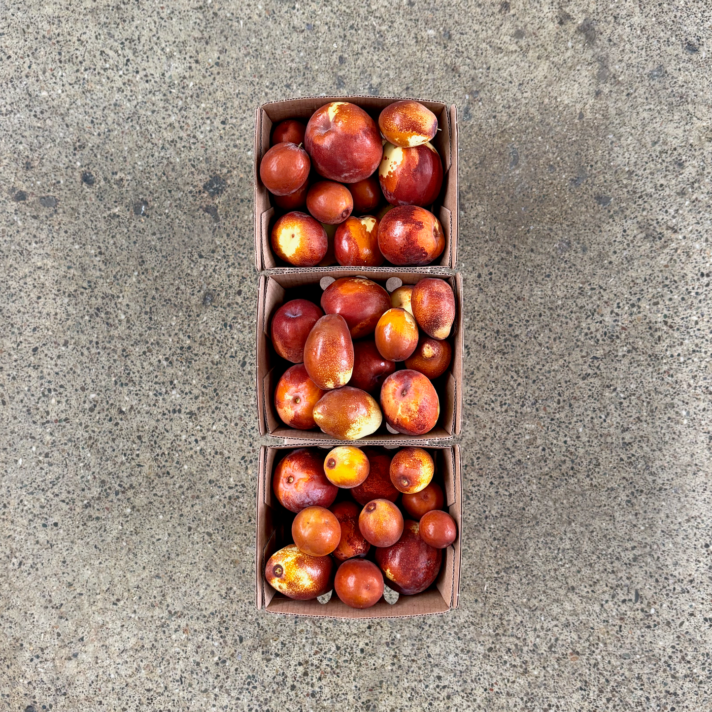 Organic Fresh Jujubes