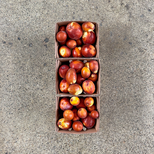 Organic Fresh Jujubes