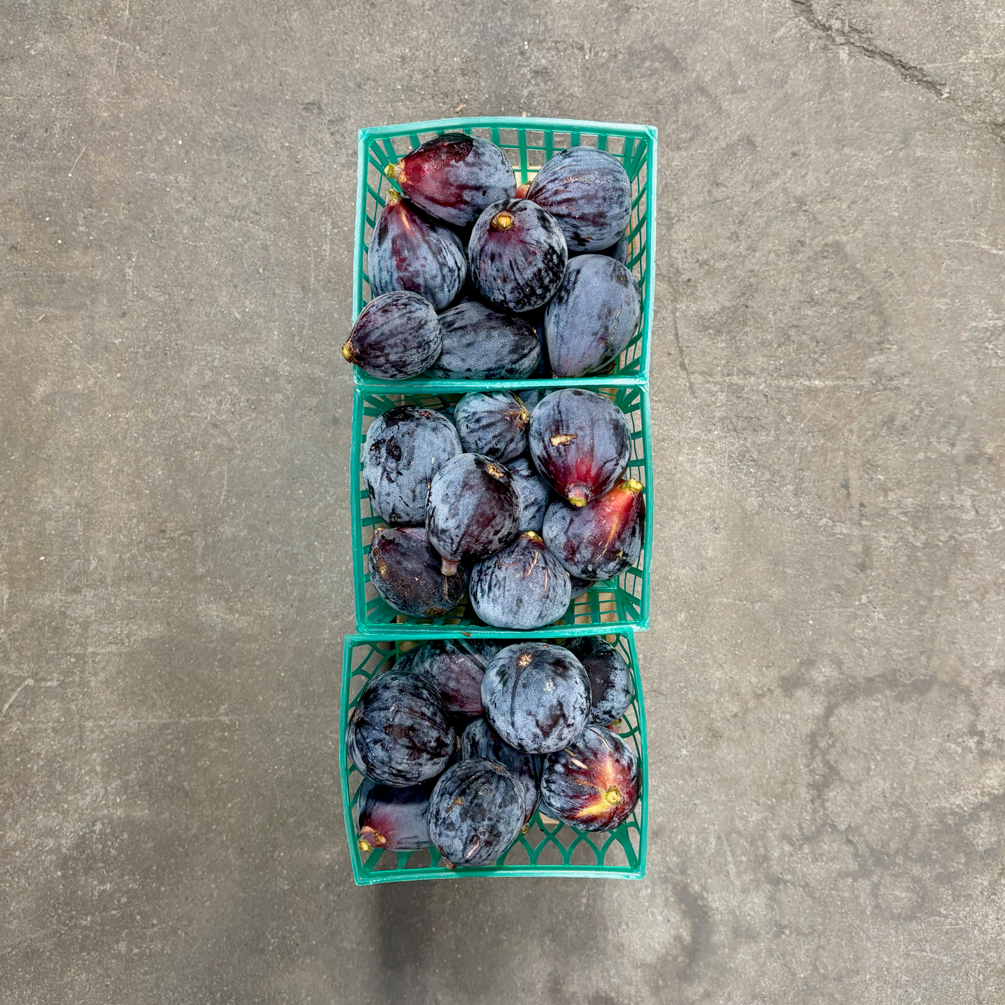 Trio of Organic Black Mission Figs