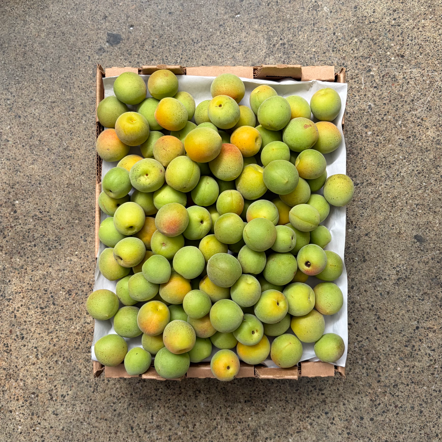 Japanese Ume Plums