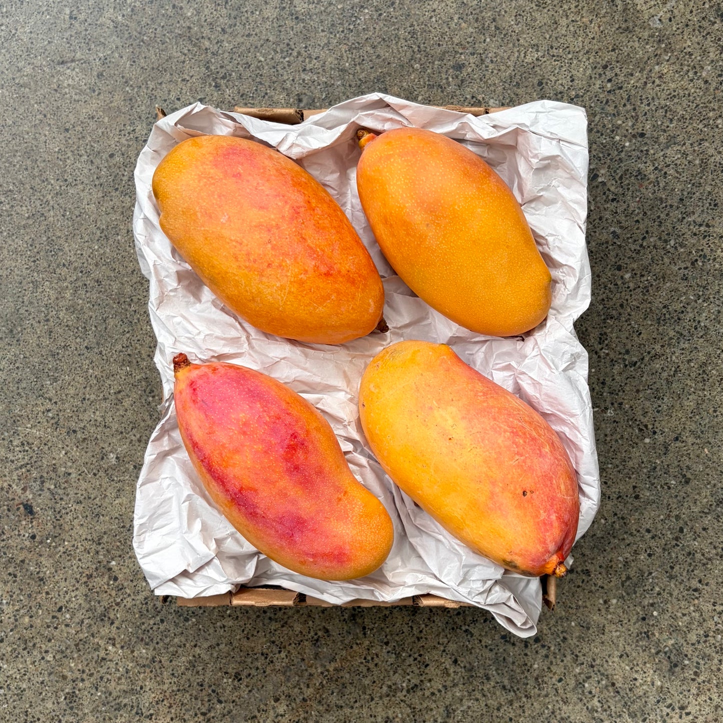 Wong Farms Valencia Pride Mangos