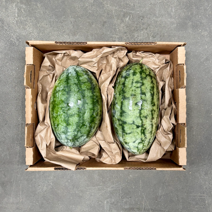Organic Mini Dark Belle Watermelons